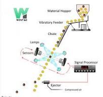 Intelligent Pecan Color Sorter With high speed RGB Nir Cameras