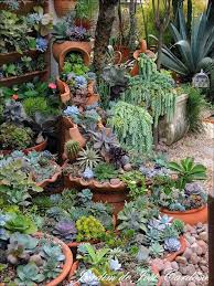 We did not find results for: Succulents Container Gartenarbeit In 2021 Succulent Landscape Design Succulents Rock Garden Landscaping