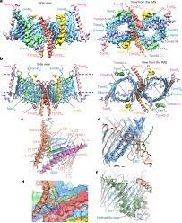 First, you need to know if the site you're on has been created with wordpress. Structure Of The Mitochondrial Import Gate Reveals Distinct Preprotein Paths Nature