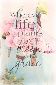 Whoops That S An Error Pretty In Pink Pink Pretty