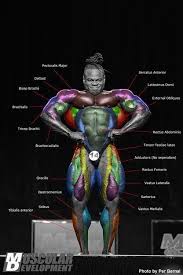 Kai Green Anatomy Very Cool Kai Greene Bodybuilding Bodybuilding Bodybuilding Workouts