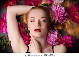 Maroon Peony: Over 944 Royalty-Free Licensable Stock Photos