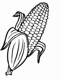 Corn on the cob, , image information. Corn On The Cob Coloring Page Elegant Corn Drawing At Getdrawings Candy Coloring Pages Vegetable Coloring Pages Corn Drawing