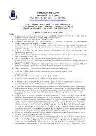 COMUNE DI TEGGIANO PROVINCIA DI SALERNO