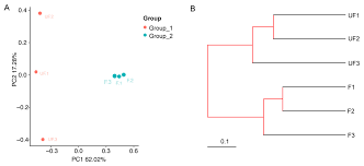 Simply draw two (or three) large circles and give each circle a title, reflecting each object, trait, or person you are comparing. Insects Free Full Text Comparative Analysis Of The Diversity Of The Microbial Communities Between Non Fertilized And Fertilized Eggs Of Brown Planthopper Nilaparvata Lugens Stal Html