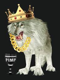 X is dependent on things like character level and stats, so as you level up the more damage. Best Hunter Dps Pets Hunter Pet Guide Builds Talents Raiding
