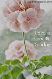 Maybe you would like to learn more about one of these? Happy Life Quotes And Thoughts Beautiful Sunday Thoughts