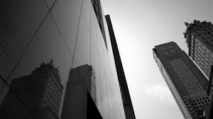 ‘Great deal of positives’: Master Builders welcome Albanese government