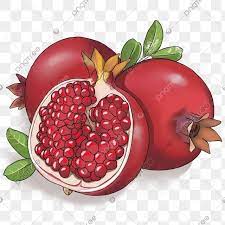 Poster jus buah buahan dan sayur sayuran segar gambar unduh. Gambar Potong Buah Delima Merah Yang Sedap Clipart Delima Kesihatan Makanan Png Dan Psd Untuk Muat Turun Percuma