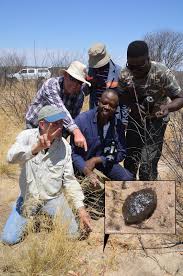 Botswana, officially the republic of botswana, is a landlocked country in southern africa. The Asteroid That Hit Botswana In 2018 Is Likely To Have Originated From Vesta Industry Update Com