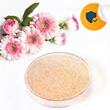 Every single gel bead contains millions of surface pores that magically soak up water vapor. Wisedry Silica Gel Silica Gel Desiccant For Flower Drying Flowers 5 Pounds Fine Crystals Colour Indicator Reusable Amazon De Business Industry Science