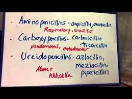 Image result for Extended Spectrum Penicillin