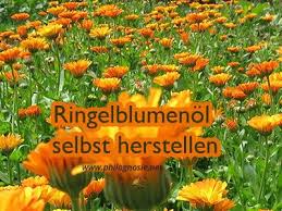 Ringelblumenol Selber Herstellen Machen Rezept Philognosie Zitronen Kur Tee Fur Magen Gesunde Krauter