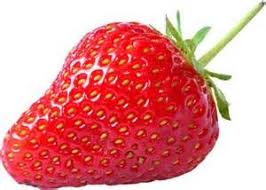Imprimer Le Dessin En Couleurs Nature Fruits Fraise Numero 476940 Fraise Dessin Dessin Des Levres Dessin Couleur