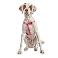 Put the harness loop over your dog's head. Good2go Easy Step In Pink Comfort Dog Harness Medium Petco