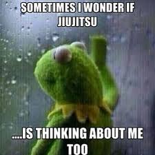 Instagram Photo By Jiujitsu Grappling Judo Nov 20 2015 At 3 13pm Utc Disc Golf Humor Workout Humor Disc Golf