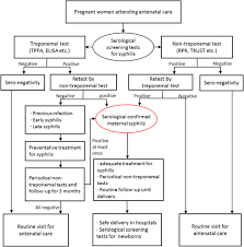 effects on preventing mother to child transmission of