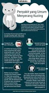 New Fitness Poster Infographic Health 36 Ideas Infographic Health Cat Illnesses Health Info