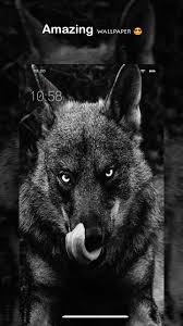 See the handpicked iphone wolf wallpaper images and share with your frends and social sites. Wolf Wallpaper Iphone Posted By Ethan Cunningham