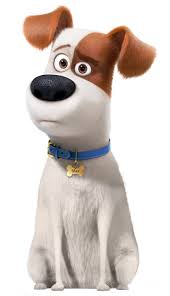 The Secret Life Of Pets Max Transparent Png Image Pet Max Cute Cartoon Wallpapers Pets Movie