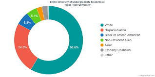 Texas Tech University Diversity Racial Demographics Other