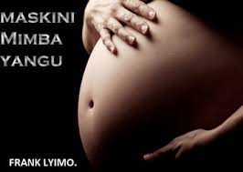 MASKINI MIMBA YANGU eBook por Frank lyimo