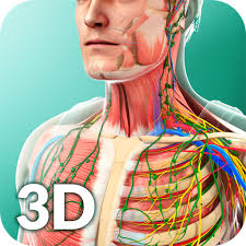 Essential anatomy 5, imuscle 2, and complete anatomy are probably your best bets out of the 8 options considered. 72 Best Anatomy Apps Android Medical