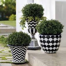 Black And White Flower Pot Images Lulu Planter Grandin Road In 2020 Planters Black Planters White Flower Pot