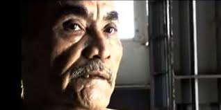 Documental del Oso Blanco se presentará en Caguas (vídeo)