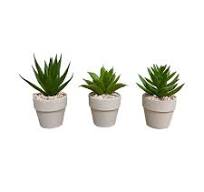 Plantes Artificielles pour Bureau – Horizon-Artificiel.com