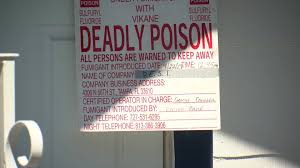 Pinellas termite and pest control. Cat Dies During Fumigation At St Pete Home Owner Says Pest Control Showed Up Early