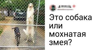 pin na doske zdorove