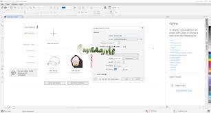 Portable Coreldraw Graphics Suite 2019 Full Kuyhaa