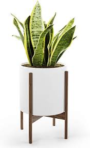 Get up to 70% off now! Amazon Com Mid Century Planter With Stand American Walnut Matte White Ceramic Planter W Dr White Ceramic Planter Mid Century Plant Stand Mid Century Plants