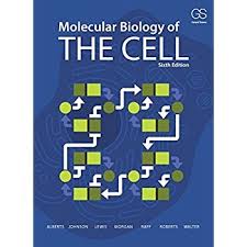 Memiliki 917 total unduhan dan diberi peringkat 5.00/5. Download Molecular Biology Of The Cell Ebook Pdf Desxijuh