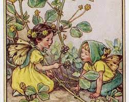 Snowdrop Flower Fairy Vintage Print 1930 S Cicely Mary Etsy Flower Fairies Vintage Fairies Fairy Art