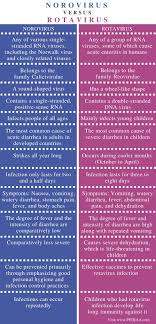 Rotavirus is a very contagious virus that causes diarrhea. What Is The Difference Between Norovirus And Rotavirus Pediaa Com