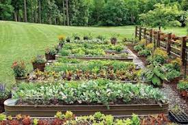 32 extraordinary vegetable garden design ideas that are easy to try ara home garden gardening potager domestique design de jardin potager engrais naturel