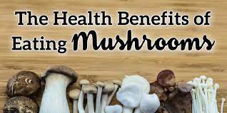 And weil, founder and … Top 10 Health Benefits Of Exotic Mushrooms Kennett Mushrooms