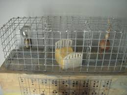 Manual Alphabet — Lost Art