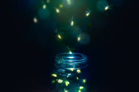 نتیجه جستجوی لغت [fireflies] در گوگل