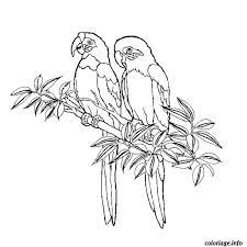La plupart des dessins et coloriages présents sur ce site ont été créés par nous même, à l'aide d'un. Coloriage Oiseaux Dessin Animaux A Imprimer