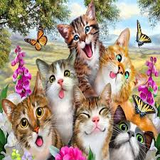 Nah, karena hal itulah kami telah merangkum koleksi terbaik seputar pink gambar kartun kucing lucu untuk wallpaper hp yang bisa kalian jadikan inspirasi. Custom Any Size 3d Photo Wallpaper Cute Cartoon Cat Self Portrait Children S Room Bedroom Living Room Background Mural Wallpaper Wallpapers Aliexpress