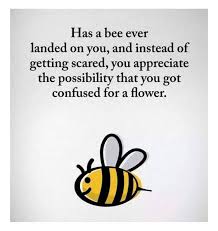 Pin By Jan On Quotes In 2020 Bee Quotes Wisdom Quotes Funny Words Of Wisdom Quotes