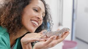 13,802 Pat Stock Stock Videos, Footage, & 4K Video Clips