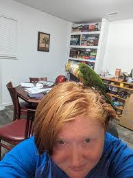 Don Merz's Instagram, Twitter & Facebook