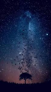 Wallpaper iphone poze de fundal aesthetic. Ghim Cá»§a Silvia Silva Tren Poze De Fundal Galaxy Wallpaper Phong Cáº£nh Nhiáº¿p áº£nh Ngoai Trá»i