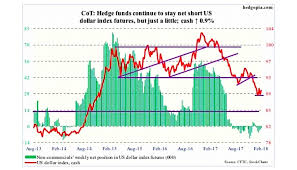 Cot Report Is The Us Dollar Carving Out A Bottom See It