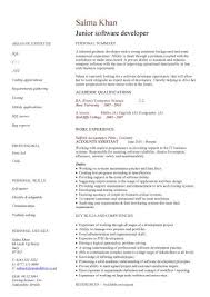 Before we get started, if you are looking to build or rebuild your cv, check out this professional software engineer template on canva. Junior Software Developer Cv Sample Resume Writing Curriculum Vitae Cv Examples Sample