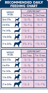Blue Buffalo All Natural Small Breed Dog Food Blue Buffalo Dog Food Puppy Food Large Breed Puppy Food